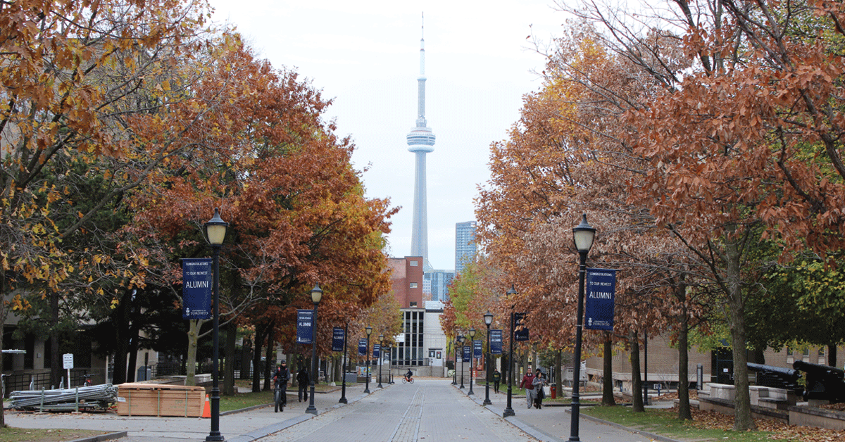 Alumni signage with CN Tower centred in the background