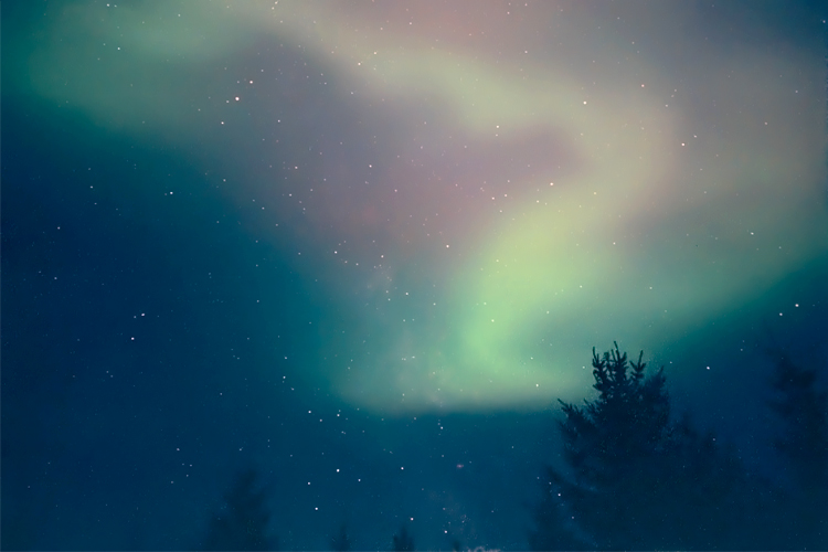 Northern Lights in Ontario. A dark blue sky with twinkling stars across the sky, with dancing green and red lights.